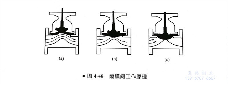 圖 48.jpg